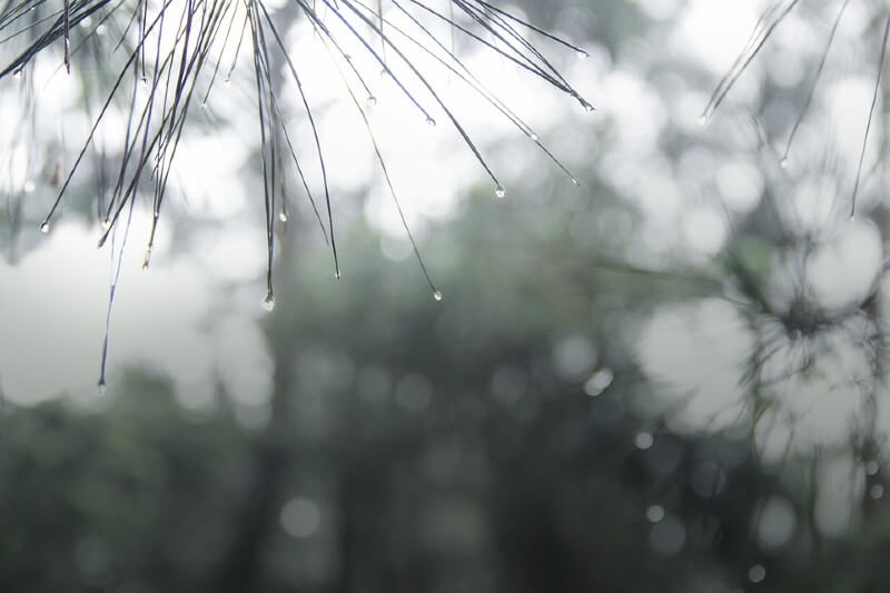 天気　雨　タイ