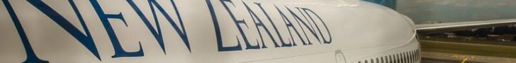 ニュージーランド　飛行機
